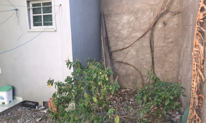 WhatsApp Image 2019-08-02 at 15.56.23