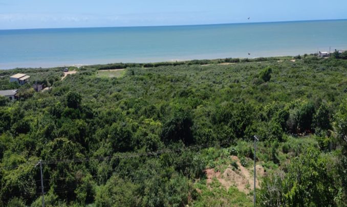 WhatsApp-Image-2020-11-23-at-13.59.24-4-1