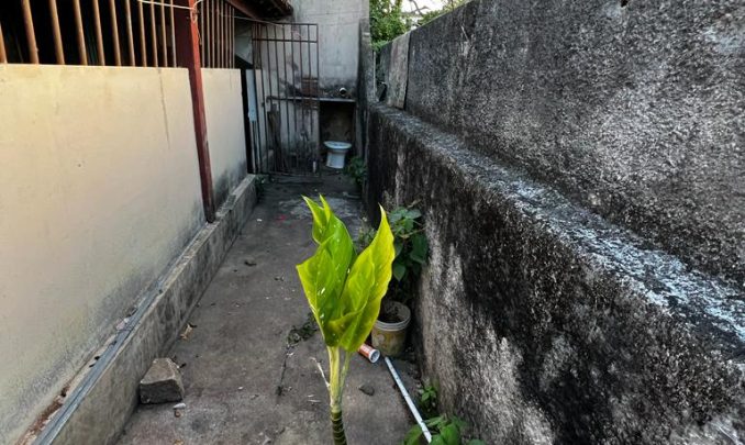 WhatsApp Image 2023-03-14 at 15.52.25 (9)