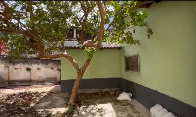 WhatsApp Image 2023-03-20 at 16.12.24 (2)