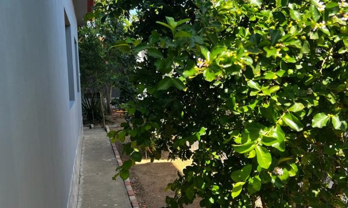 WhatsApp Image 2023-08-23 at 14.25.54 (6)