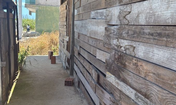 WhatsApp Image 2026-01-08 at 11.44.21